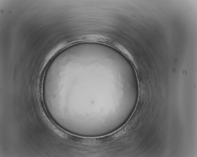 X0000083011091200702161545