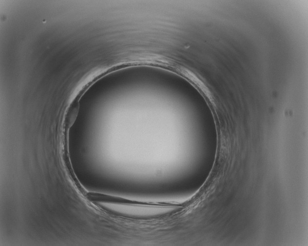 X0000083011093200702161545