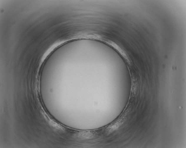 X0000083011094200702161545