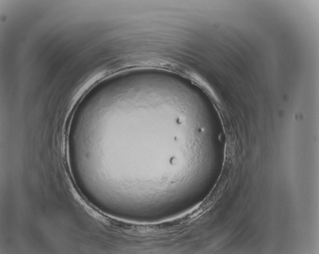 X0000083011095200702161545