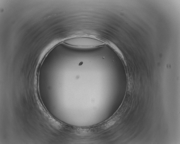 X0000083011096200702161545