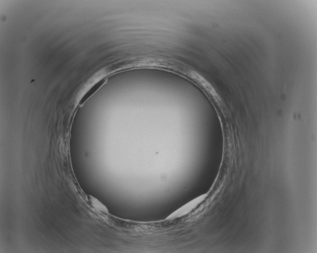 X0000083011097200702161545