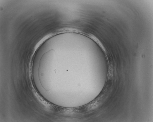 X0000083011098200702161545