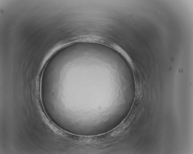 X0000083011099200702161545