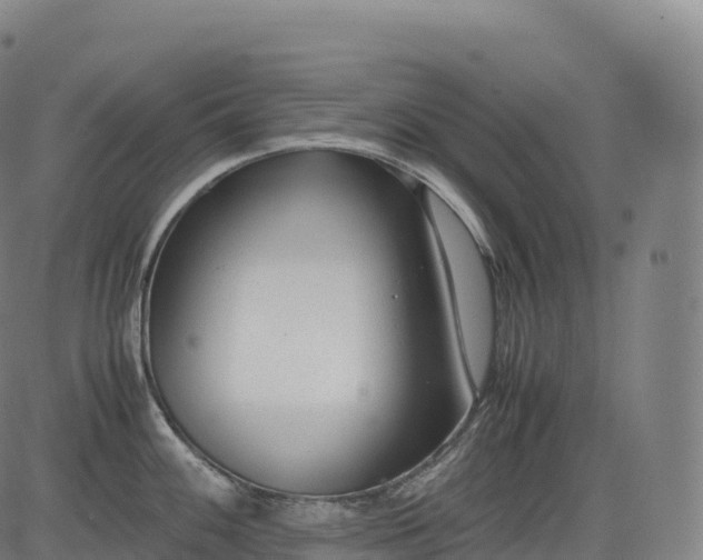 X0000083011100200702161545