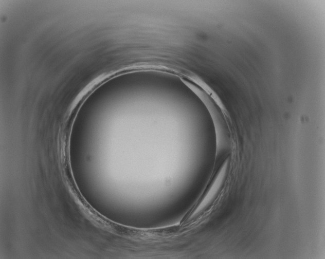 X0000083011101200702161545