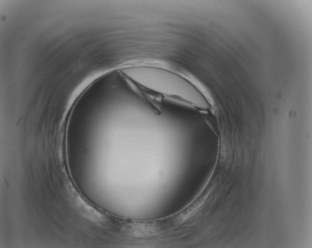 X0000083011102200702161545