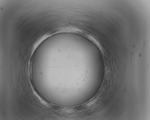 X0000083011103200702161545