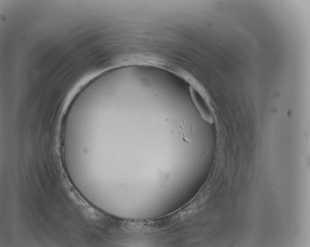 X0000083011104200702161545