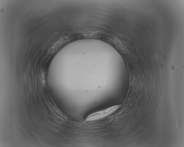 X0000083011106200702161544