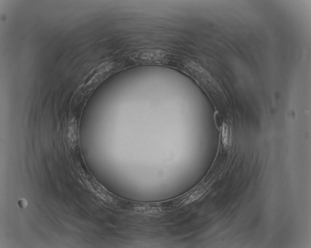 X0000083011107200702161544