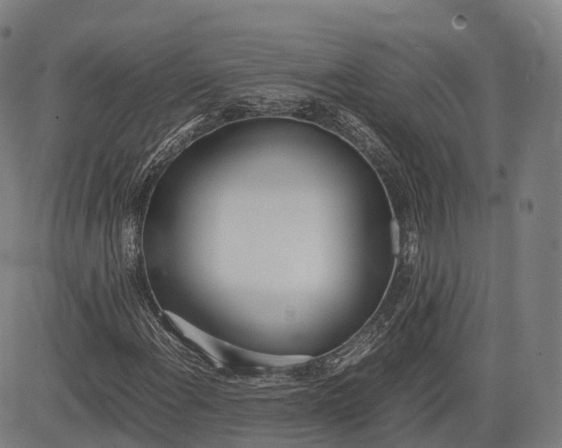 X0000083011108200702161544