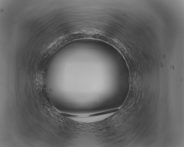 X0000083011110200702161544