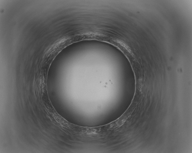 X0000083011111200702161544