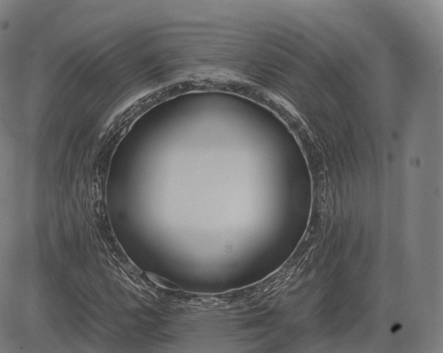 X0000083011112200702161544