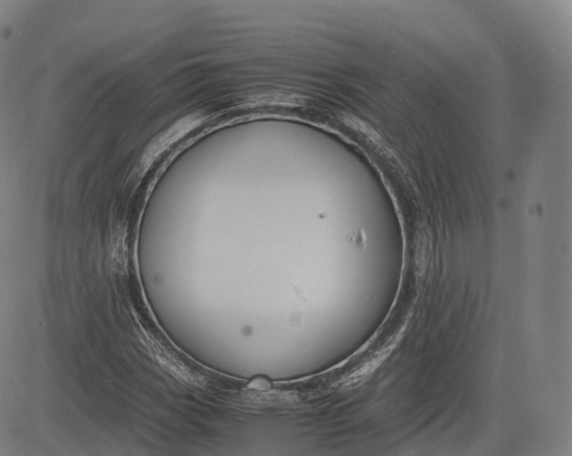 X0000083011113200702161544