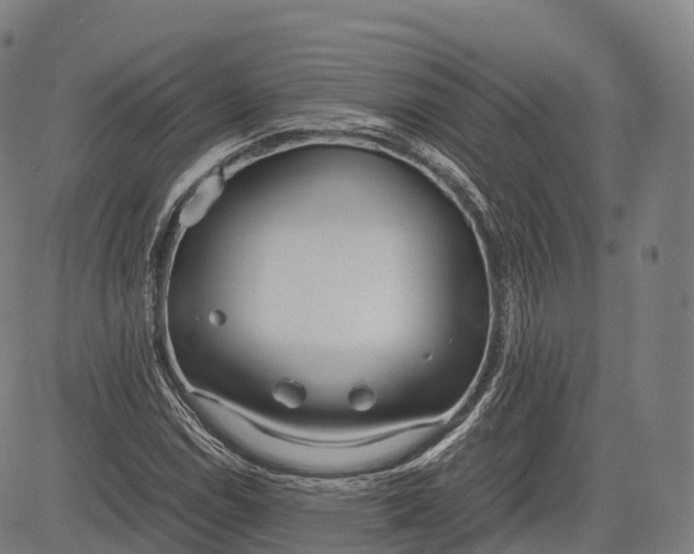 X0000083011114200702161544