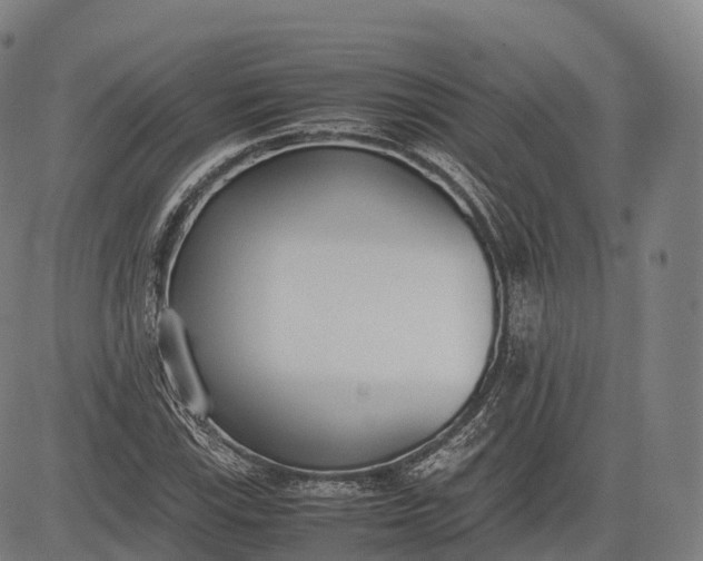 X0000083011115200702161544