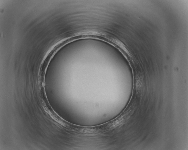 X0000083011116200702161544