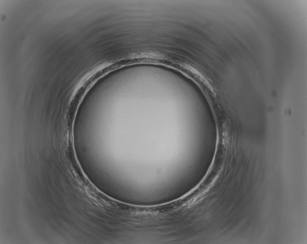 X0000083011117200702161544