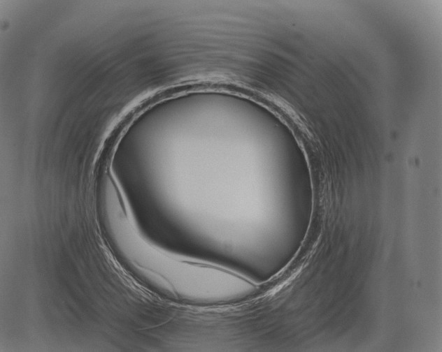 X0000083011118200702161544