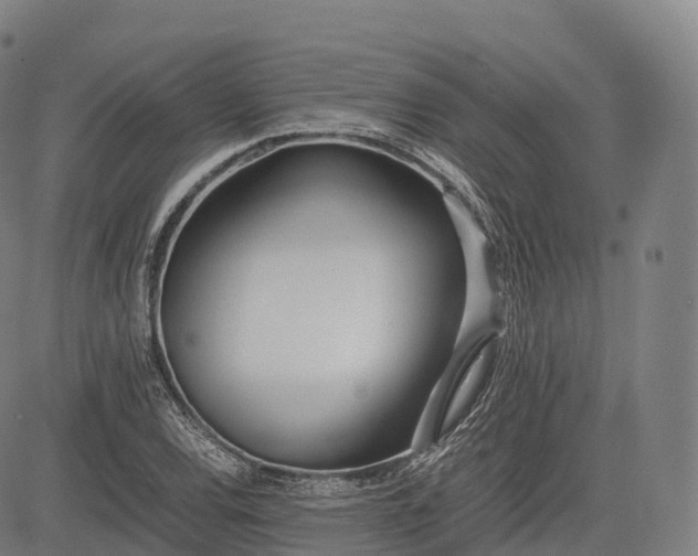 X0000083011120200702161544