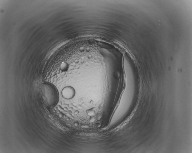 X0000083011121200702161544