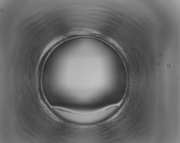 X0000083011122200702161544