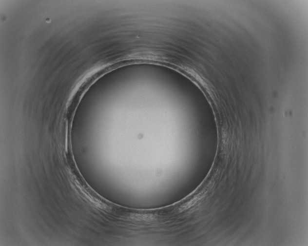 X0000083011123200702161544