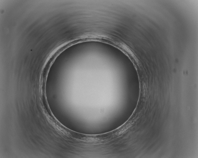 X0000083011124200702161544