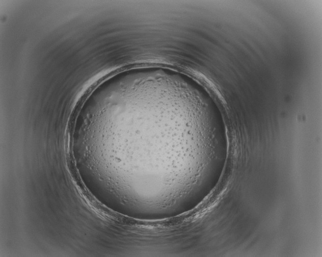 X0000083011125200702161544