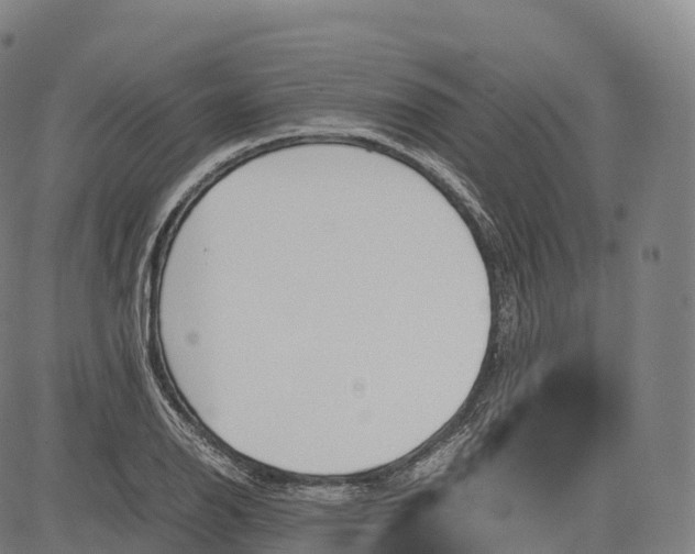 X0000083011126200702161544