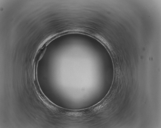 X0000083011127200702161544