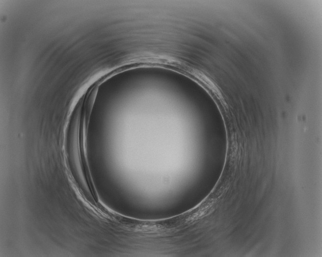 X0000083011128200702161544