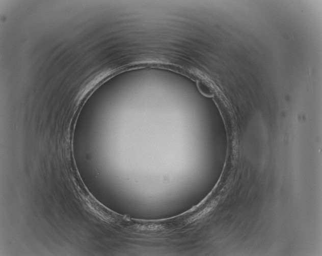 X0000083011129200702161544