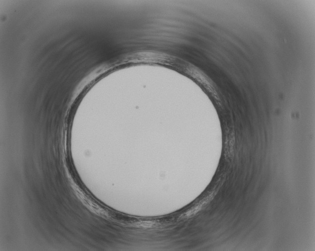 X0000083011130200702161544