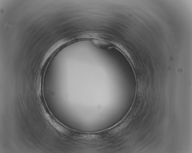 X0000083011131200702161544