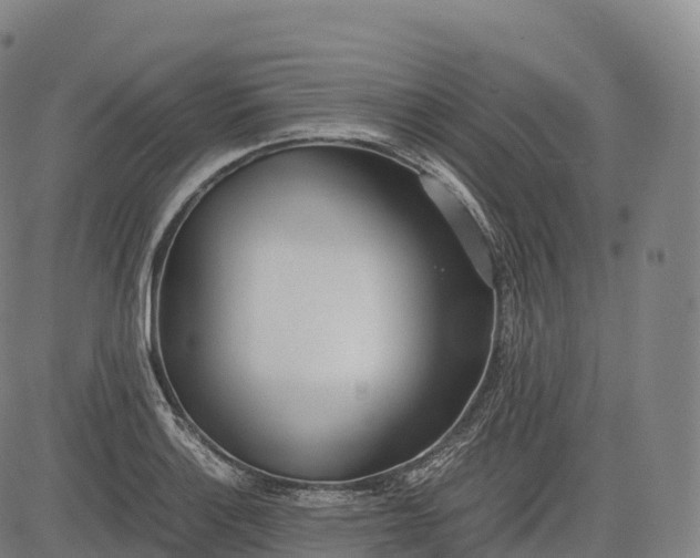 X0000083011132200702161544