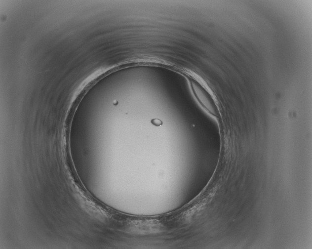 X0000083011133200702161544