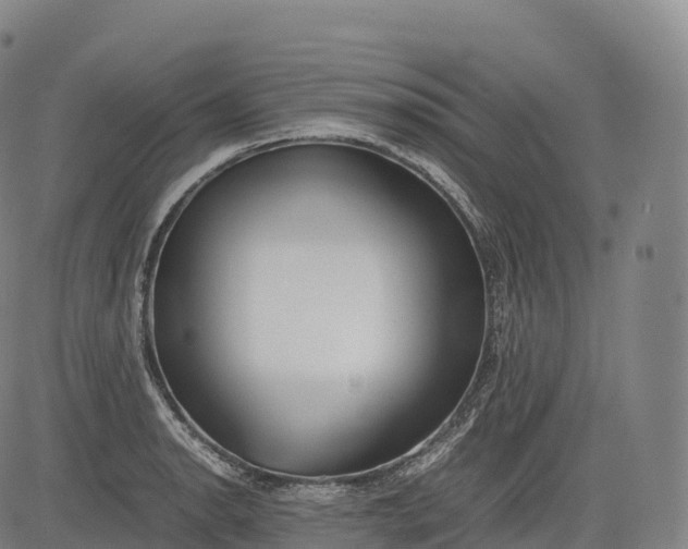 X0000083011134200702161544