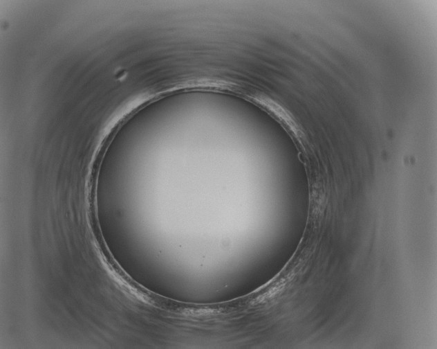 X0000083011135200702161544