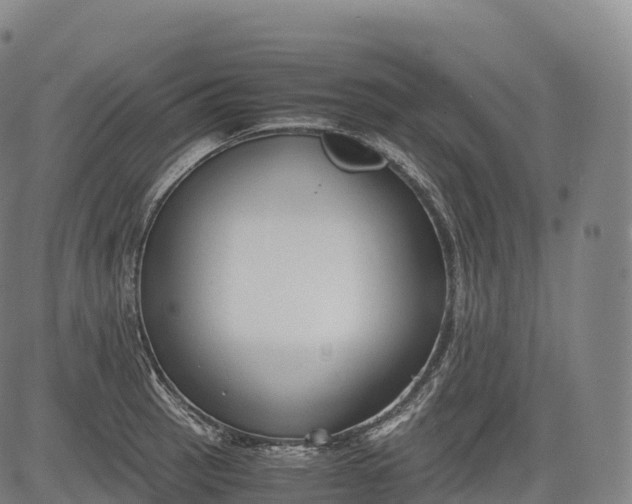 X0000083011137200702161545