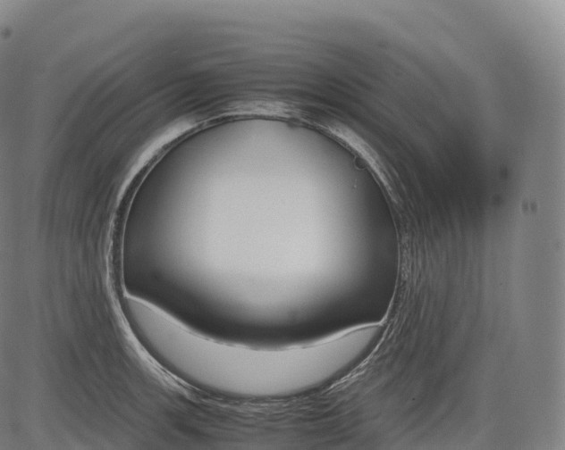 X0000083011139200702161545