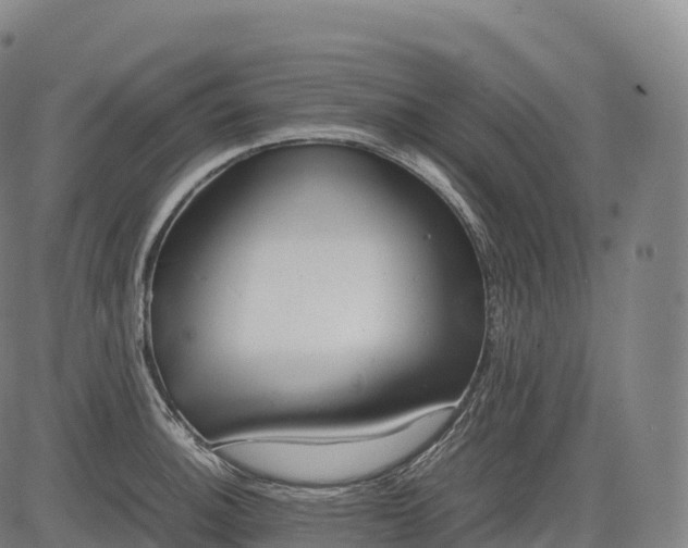 X0000083011140200702161545