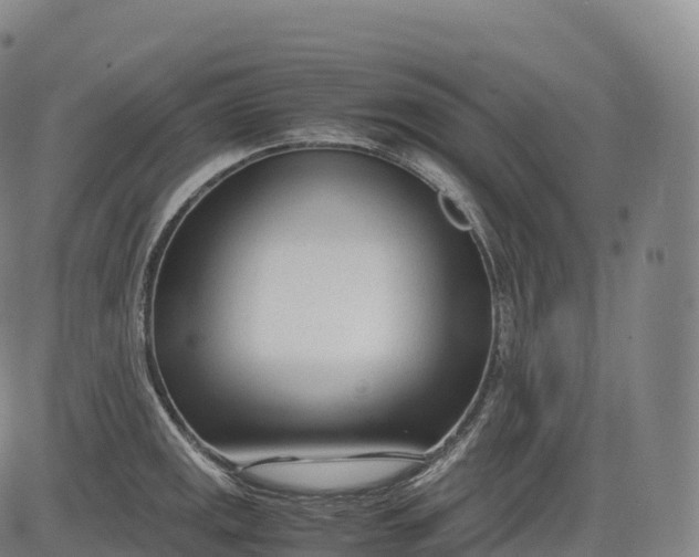 X0000083011141200702161545