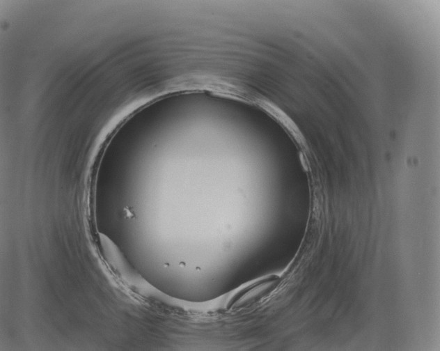 X0000083011144200702161545