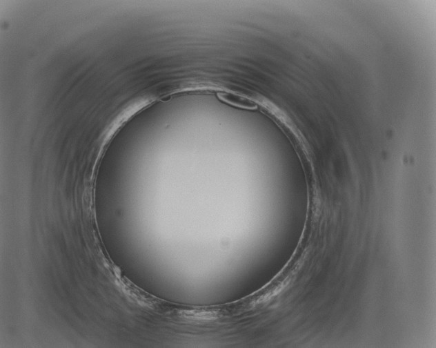 X0000083011145200702161545