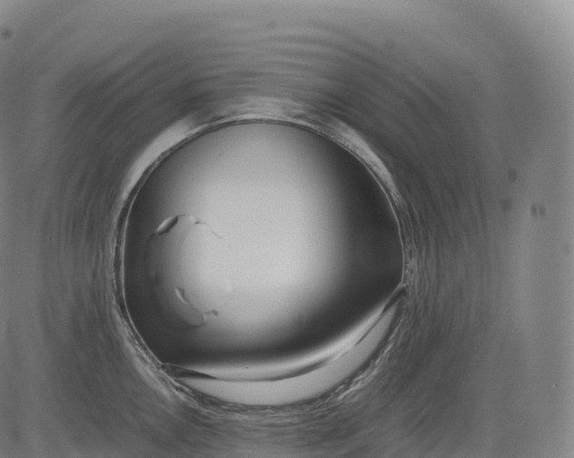 X0000083011146200702161545