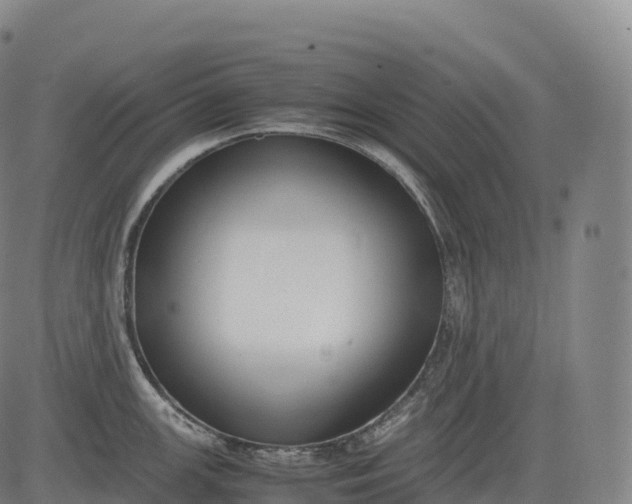 X0000083011147200702161545