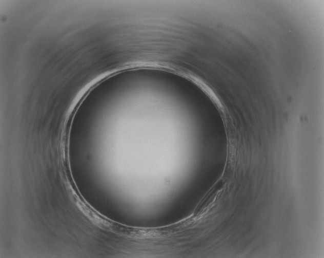 X0000083011148200702161545